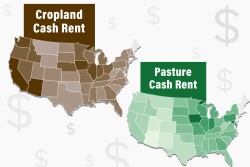 Cropland and Pasture Cash Rent