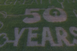Charlie Brown Corn Mazes