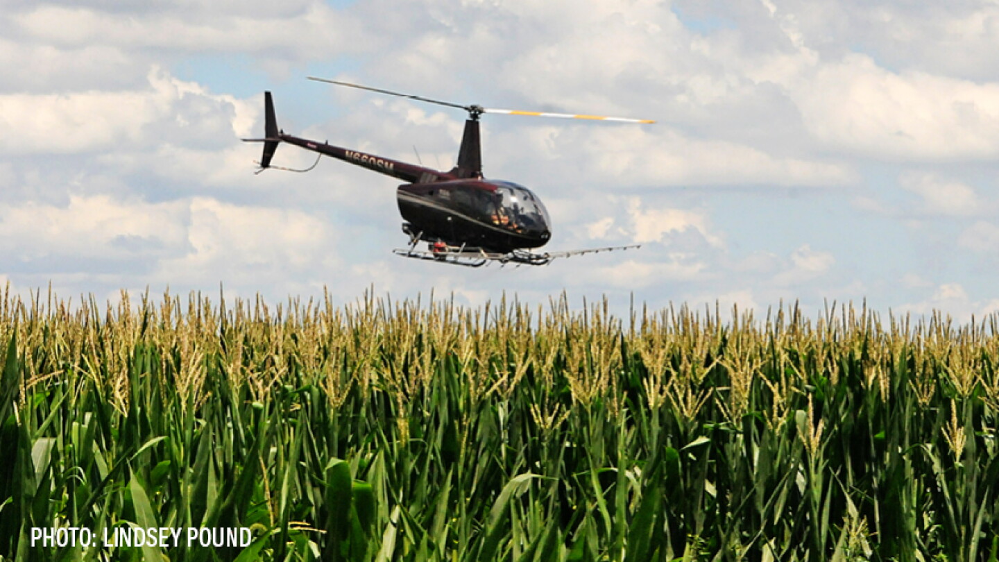 Go 90 Insecticides Breaking Down EPA's New Action Plan for Insecticides - The Packer