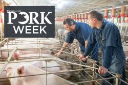 PORK Week producers in sow barn