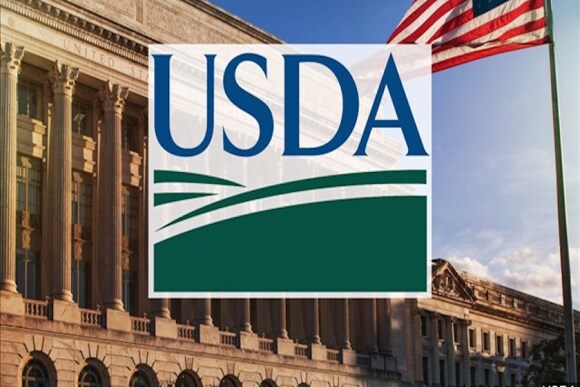 We’re looking for updates on grain exports and updates on Argentina and Brazil production when the USDA releases its March 2023 report.