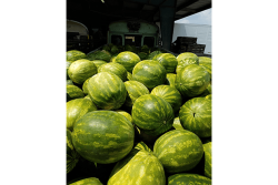 82FA8AFC-368B-4BED-A862845140162272.png