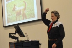 templegrandin
