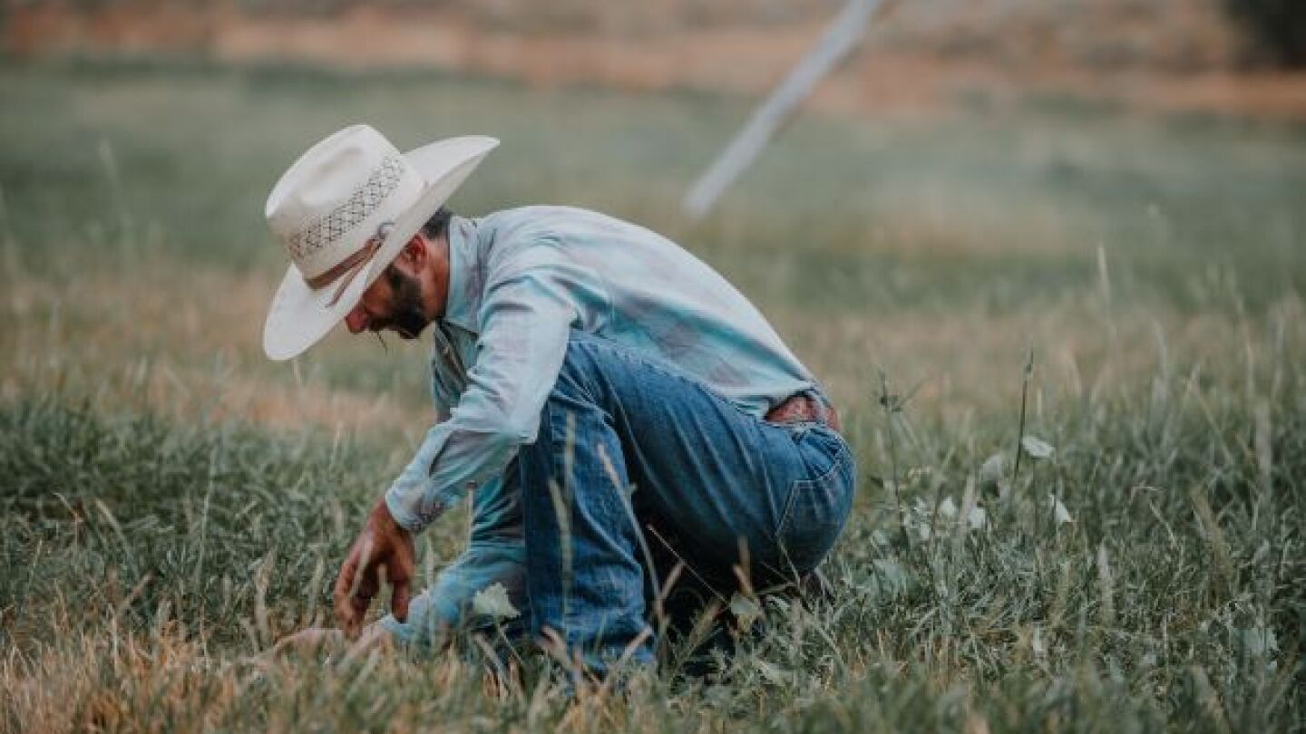 Western Ranchers Launch Effort to Raise Climate-Smart Beef - Drovers