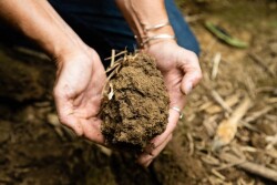 Soil Secutiry.jpg