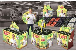 Avocados from Mexico