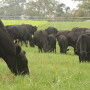 IMG 5081