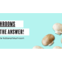 mushrooms are the answer