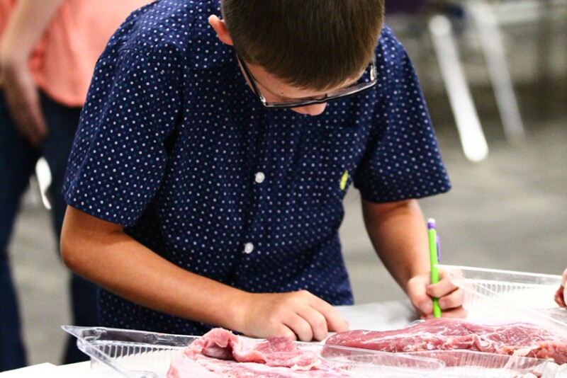 Kid identifying meat cuts