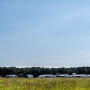 North Carolina Pig Farm