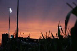 The Chicago White Sox and New York Yankees played in the first-ever MLB game at the Field of Dreams Thursday, August 12, 2021. 