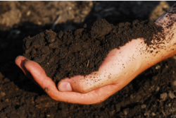 soil health