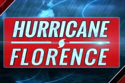 After last weekend's high winds and rain that was measured in feet, followed by this week's rising rivers and standing water in fields, early farm reports are confirming pre-storm worries about losses to tobacco, cotton and corn crops.
