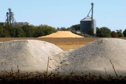 fertilizer