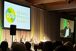 Walter Robb, Jeff Cady, Walter Schutt and Edmund LaMacchia discuss the future of grocery retailing at OPS 2022.