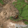 Stranded cattle following 7.8 magnitude earthquake in New Zealand.