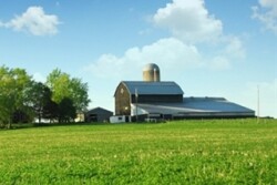 iStock Brown Barn