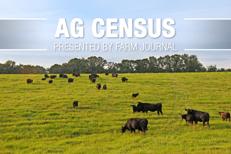 Nebraska, with 1.9 million beef cows, the fourth-largest state by beef cow numbers, is home to the nation’s top three beef counties. 