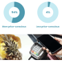 circle graph and cell phone hovering over pineapple