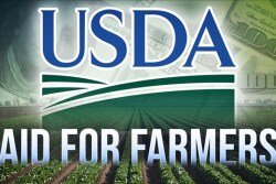 "We're anticipating right now three tranches; probably 50%... or a minimum of $15 an acre initially," Perdue told reporters, adding the second and the third waves of payments would be dependent on the market conditions.