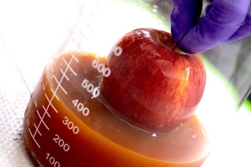 Egg based coating for apple