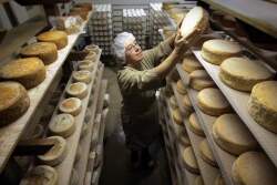 Redwood_Hill_Farm_Creamery