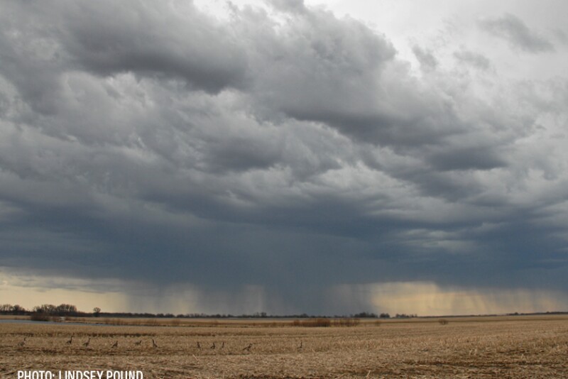 Weather - storm clouds - rain clouds - Lindsey Pound