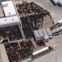 JBS plant, Greeley, Colorado