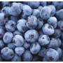 25B30C3D-51C0-434D-93B7AB68695C05DB.png