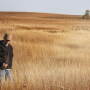OldWorldBluestem_mp0005