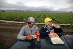 Mexican migrant farmworkers Jesus Martin Ley Lugo, 27, (R) and Rogelio Garcia Parria, 20, who both have H-2A visas, eat during a break while harvesting romaine lettuce in King City, California, U.S., April 17, 2017. REUTERS/Lucy Nicholson