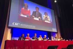 The panel, “Establishing trust in the multilateral trade system through transparency and Standard’s implementation monitoring,” hosted by the OIE on 22 May 2018.


