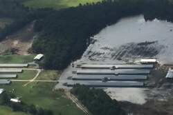 South_Carolina_Flood_Barns