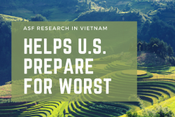 ASF Research in Vietnam