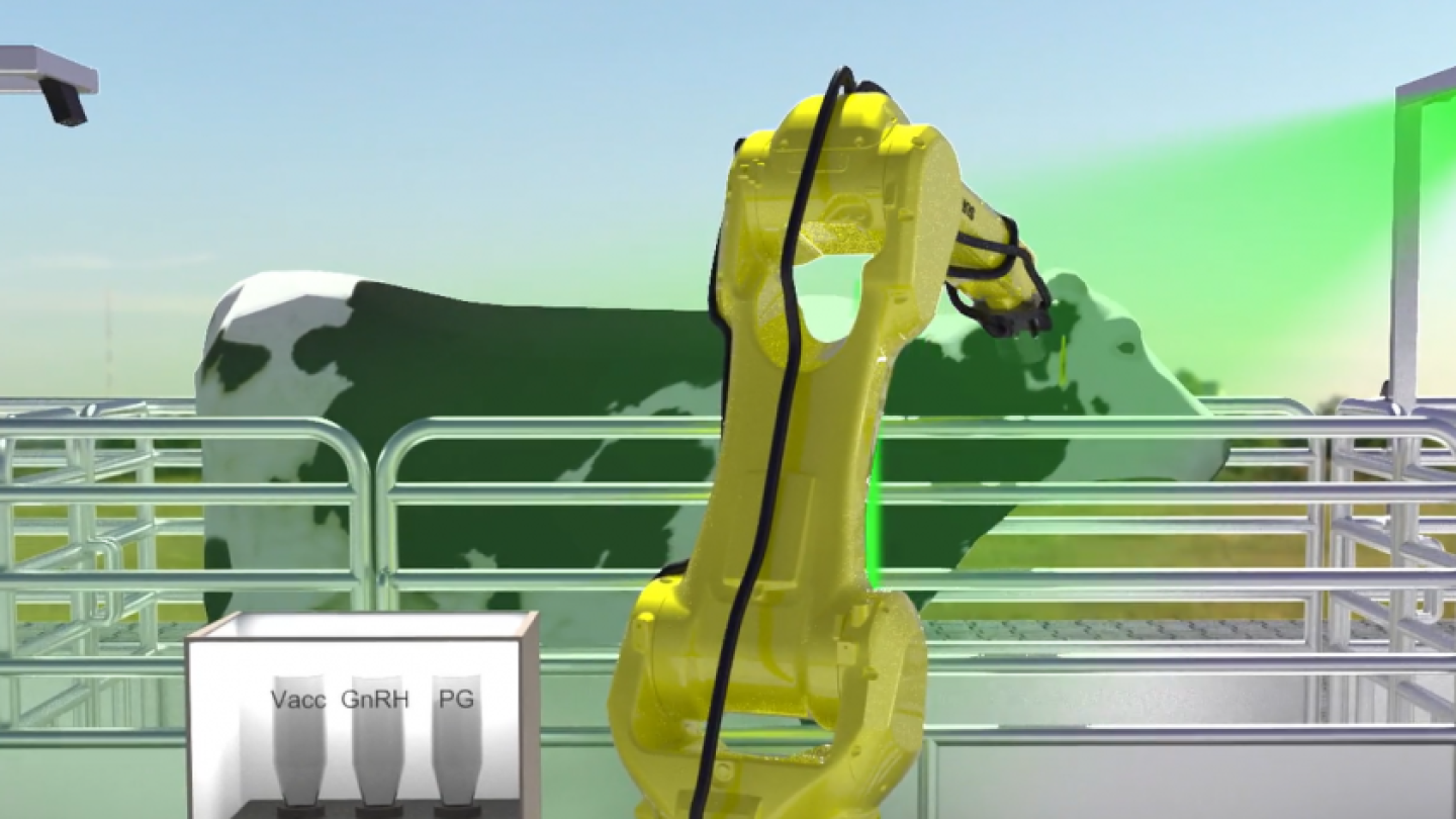 Robotic Shot Injection System Under Development For Dairy - Dairy Herd
