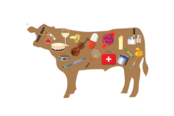 Beef Byproduct.png