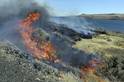 Federal officials have released a plan to save sagebrush habitats in Western states that support cattle ranching, recreation and 350 wildlife species, including imperiled sage grouse. Officials say the 248-page document released this month is a paradigm shift relying on advances in technology and analytics to categorize sagebrush areas based on resistance and resilience to wildfire.