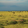 Hall Ranch-840.jpg