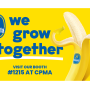 Chiquita