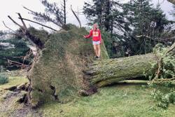 Carly Martin surveys the damage after derecho winds destroyed over 100 trees on their two farms located five miles apart.