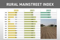 Rural Mainstreet Index