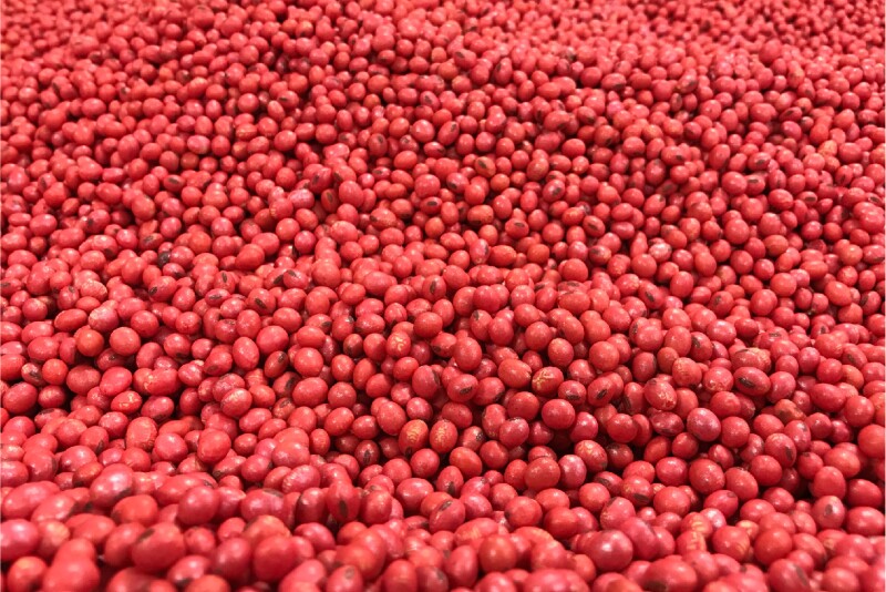 Pizazz is a dry seed coating technology designed to deliver shine and improved flow to treated seed with minimal fugitive dust when handling and applying the product. 