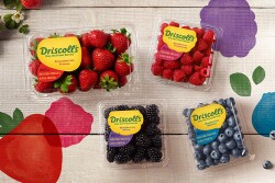 Driscoll's