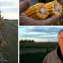 regenerative farming