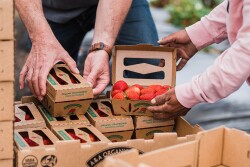 Two people grabbing cartons of strawberries from a stack