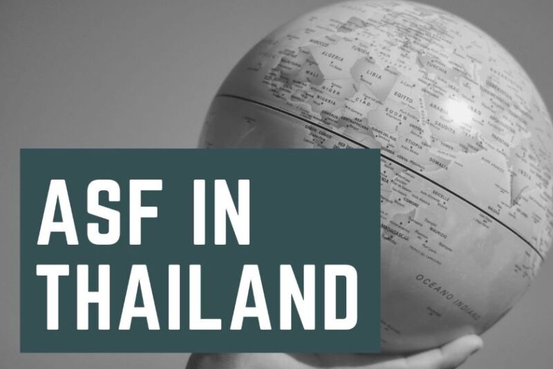 ASF in Thailand