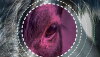 Merck-Pink-Eye.jpg