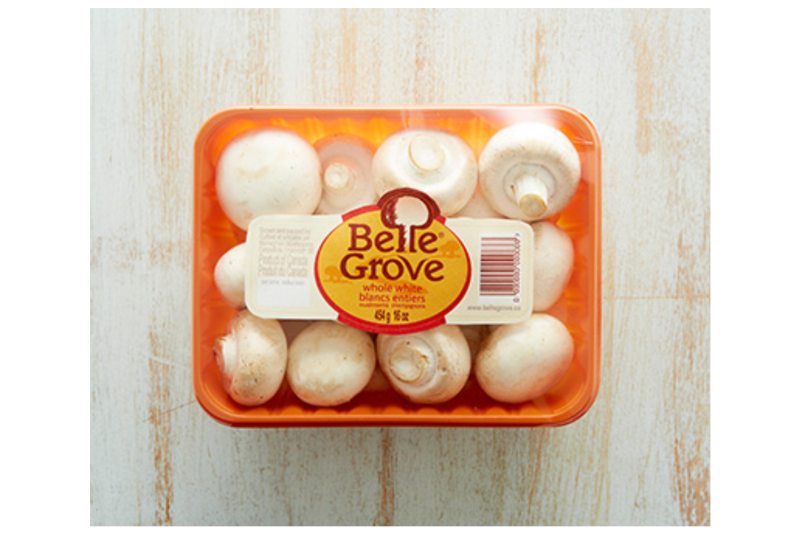 Belle Grove Mushrooms_0.png