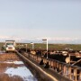 Magnum_Feedyard.jpg