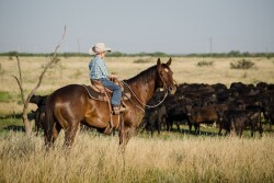 Ranch-Photo-TBC.jpg